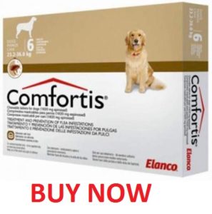 buy comfortis without prescription